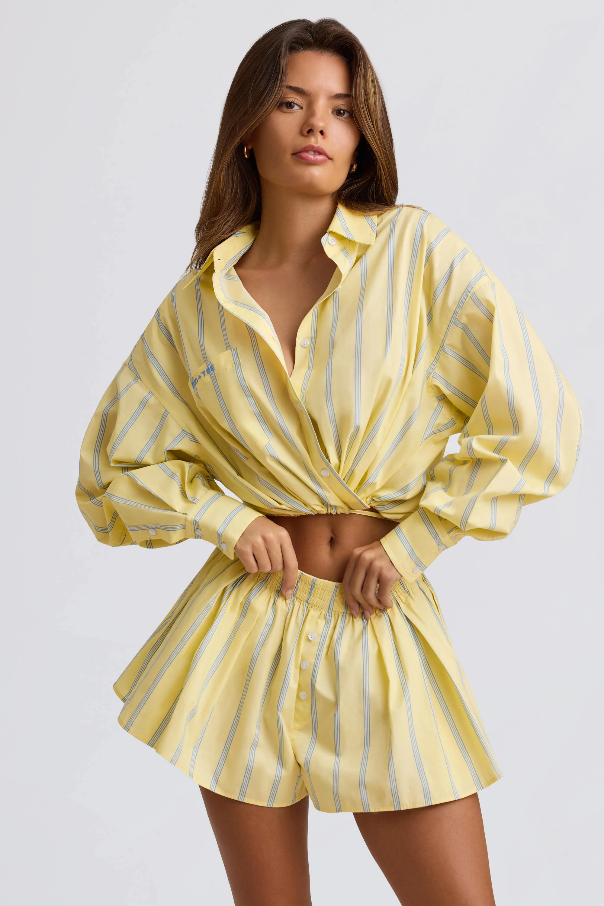 Cotton Poplin Stripe Pleated Shorts in Yellow Stripe - Image 4