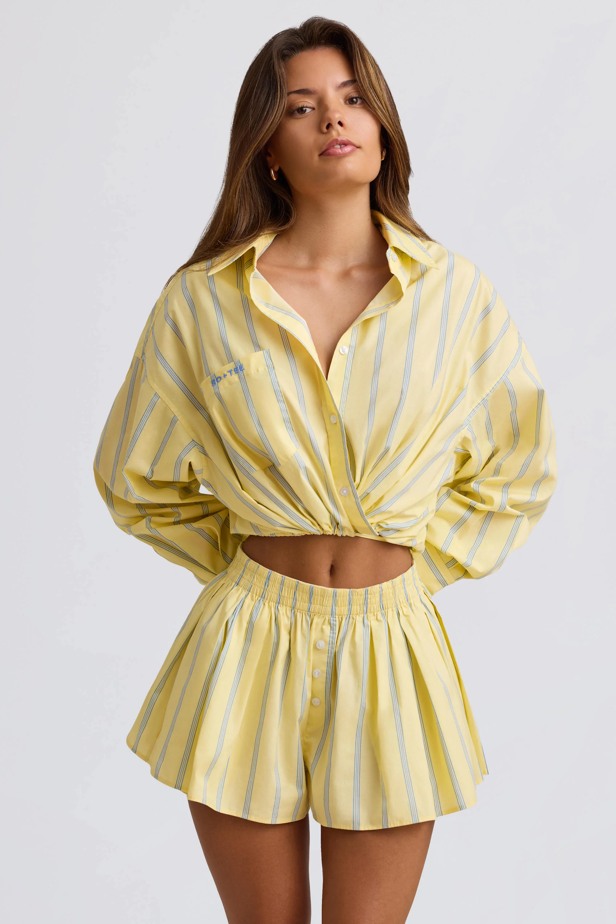 Cotton Poplin Stripe Pleated Shorts in Yellow Stripe - Image 5