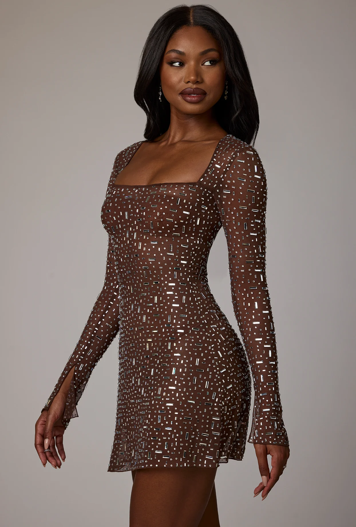 Sheer Embellished Long Sleeve A-Line Mini Dress in Deep Cocoa - Image 3